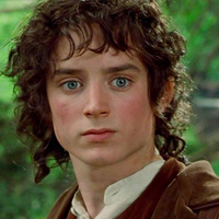 Frodo Bagins